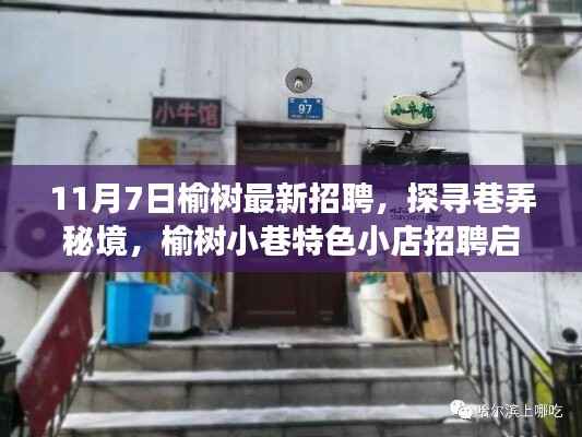 榆树小巷特色小店招聘启事,探寻巷弄秘境,环境与人才的独特邂逅日启幕