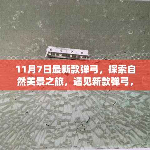 新款弹弓,自然之旅与内心的宁静与平和探索