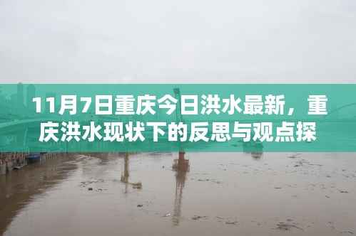 重庆洪水现状下的反思与观点探讨,11月7日最新洪水资讯