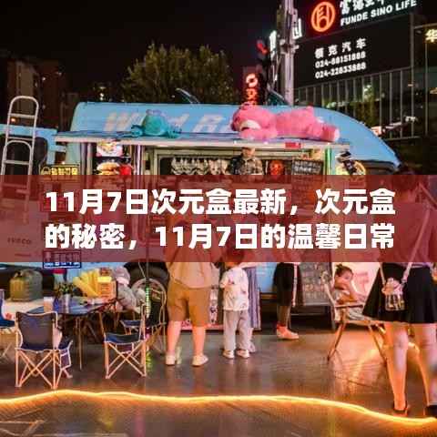 次元盒的秘密,揭秘最新动态与温馨日常