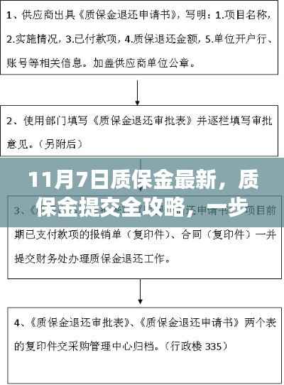 11月7日质保金最新流程详解,提交全攻略与步骤指南