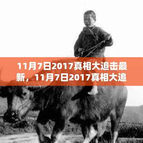 揭秘真相大追击深度解析,探究某观点背后的真相(最新报道)