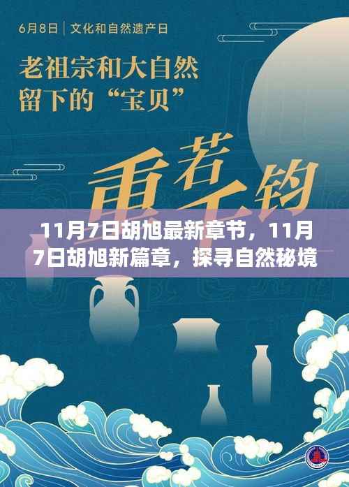 探寻自然秘境,胡旭最新篇章,重拾内心的宁静与平和(11月7日最新更新)