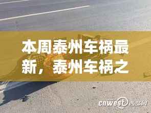 探寻泰州自然美景之旅,车祸之外的心灵宁静力量本周更新报告