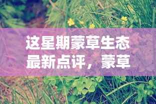 蒙草生态最新点评揭秘,探秘蒙草秘境,小巷深处的生态新宠本周独家报道!