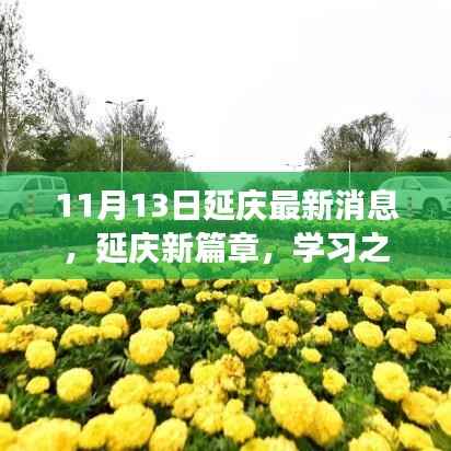 延庆新篇章,学习之光照亮未来梦想启航之地