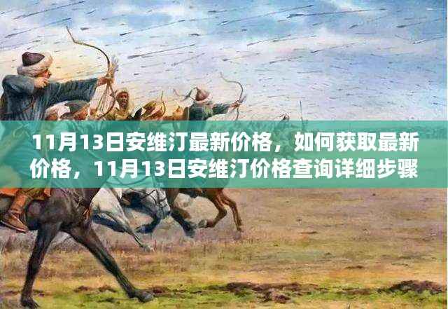 11月13日安维汀最新价格查询指南,获取价格与详细步骤