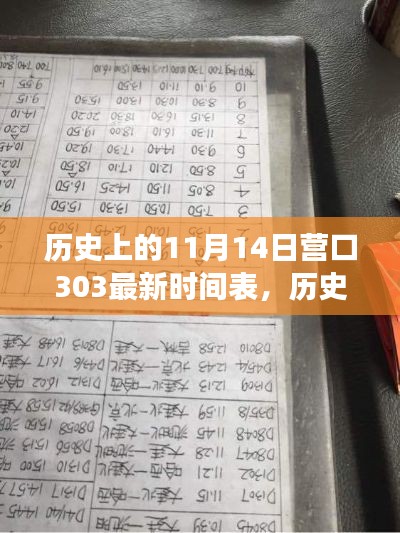 历史上的11月14日,探寻营口303最新时间表背后的故事与最新时间表揭秘