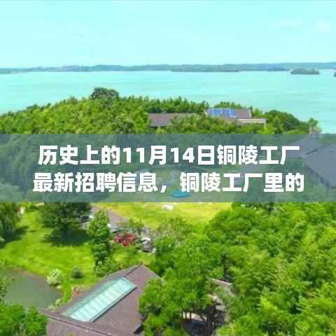 历史上的今天,铜陵工厂招聘信息揭秘与友情故事的交织