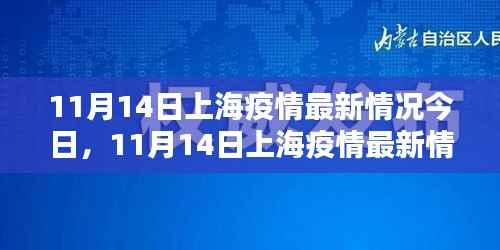 上海疫情最新动态,11月14日分析与更新