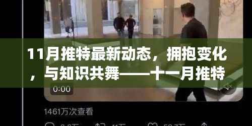 十一月推特新动态启示,拥抱变化,自信成就梦想之旅