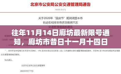 往年11月14日廊坊限号通知深度解析,背景、影响与地位探讨