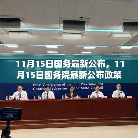 国务院最新政策解读,某某观点下的深度分析,11月15日新政公布影响探讨