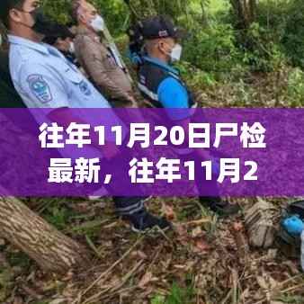 往年11月20日尸检最新进展深度分析与观点阐述