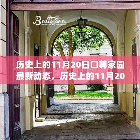 口尊家园自然探索之旅,历史上的11月20日的奇妙冒险与最新动态