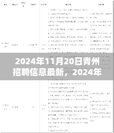 2024年青州最新招聘信息全解析(11月20日更新)