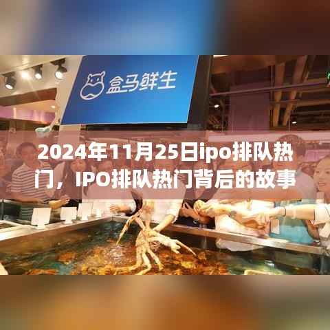 IPO排队背后的故事,学习变化的力量,成就梦想起航的自信之路