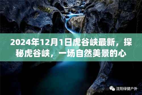 2024年12月1日虎谷峡最新,探秘虎谷峡,一场自然美景的心灵之旅,启程于2024年12月1日
