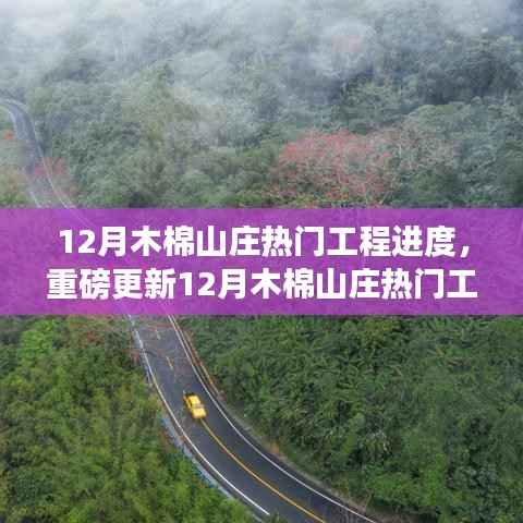 揭秘12月木棉山庄最新工程进度,热门工程重磅更新与最新动态抢先看