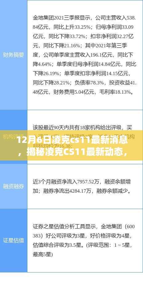 12月6日凌克cs11最新消息,揭秘凌克CS11最新动态,12月6日最新消息解读