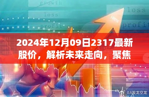 聚焦最新动态,解析未来走向,揭秘2024年12月09日股价动态