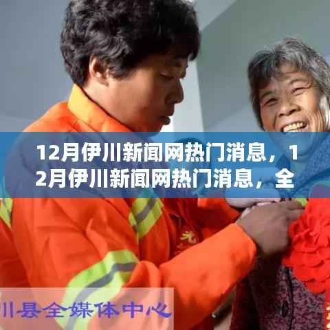12月伊川新闻网热门消息全面评测与深度介绍