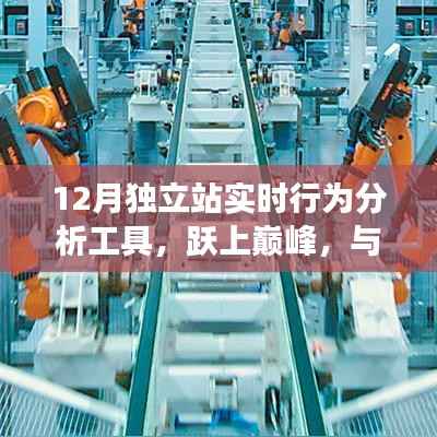 变革奇迹，跃上巅峰的12月独立站实时行为分析工具