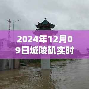 揭秘城陵矶水位,聚焦实时水位报告(2024年12月09日)