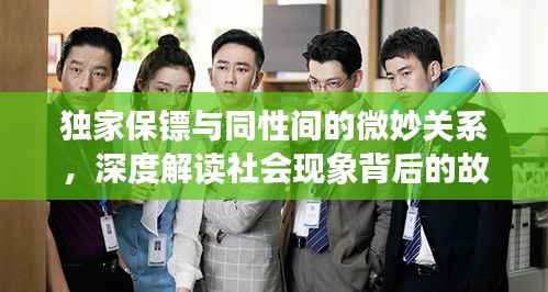 独家保镖与同性间的微妙关系，深度解读社会现象背后的故事