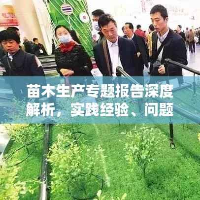 苗木生产专题报告深度解析,实践经验、问题及解决方案总结