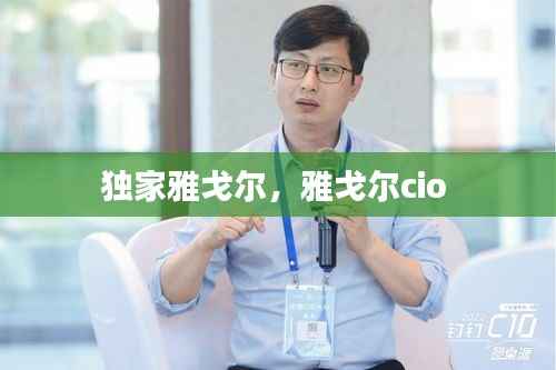 独家雅戈尔,雅戈尔cio