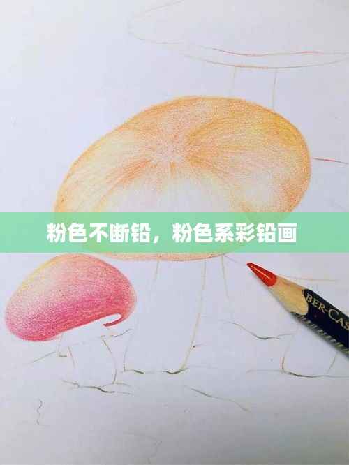 粉色不断铅,粉色系彩铅画