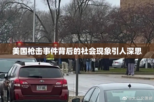 美国枪击事件背后的社会现象引人深思