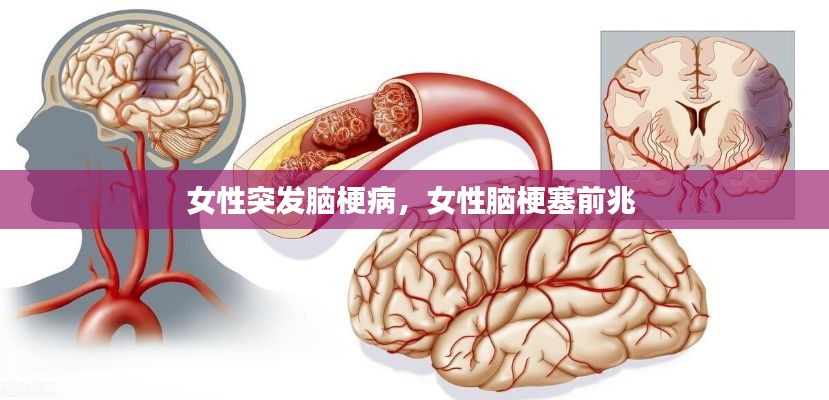 勤勤恳恳 第3页