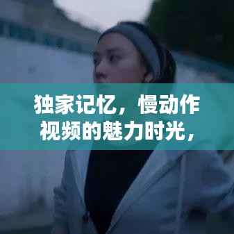 飞龙在天 第2页