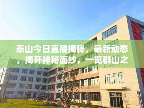 泰山今日直播揭秘,最新动态,揭开神秘面纱,一览群山之壮美