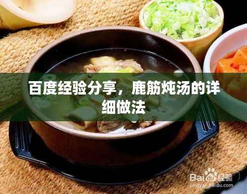 百度经验分享,鹿筋炖汤的详细做法