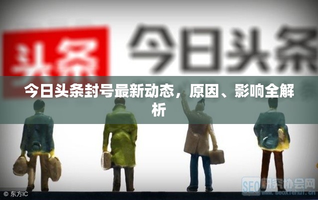 今日头条封号最新动态,原因、影响全解析