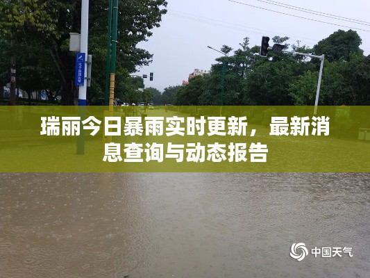 瑞丽今日暴雨实时更新,最新消息查询与动态报告