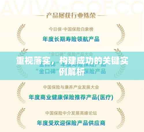 重视落实，构建成功的关键实例解析