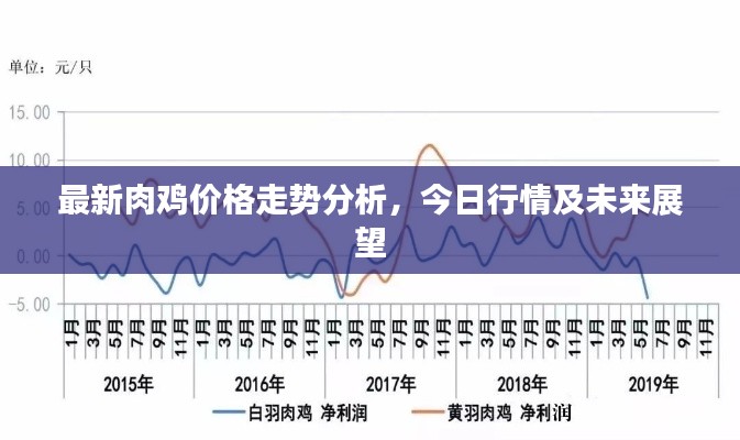 最新肉鸡价格走势分析,今日行情及未来展望
