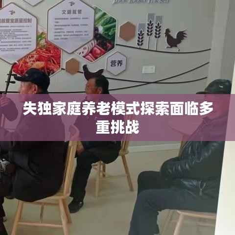 失独家庭养老模式探索面临多重挑战
