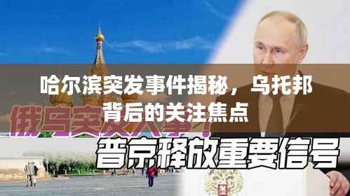 哈尔滨突发事件揭秘,乌托邦背后的关注焦点