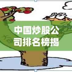 中国炒股公司排名榜揭晓,洞悉金融市场风云的力量排行!