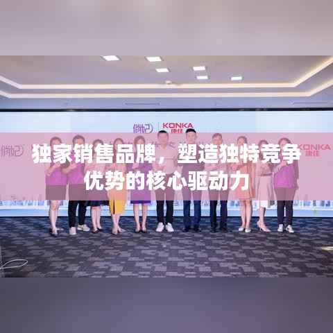 独家销售品牌,塑造独特竞争优势的核心驱动力
