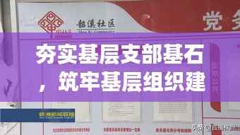 夯实基层支部基石,筑牢基层组织建设阵地