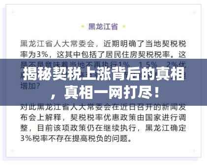 揭秘契税上涨背后的真相，真相一网打尽！