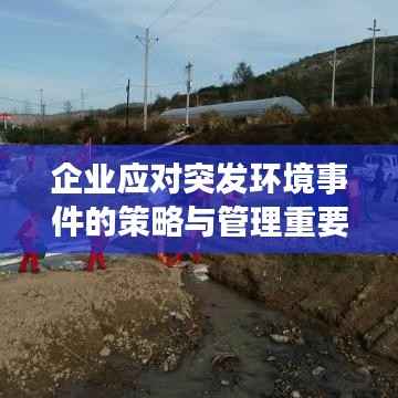 企业应对突发环境事件的策略与管理重要性探讨