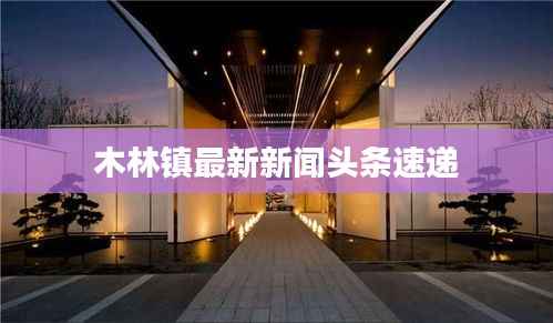 木林镇最新新闻头条速递