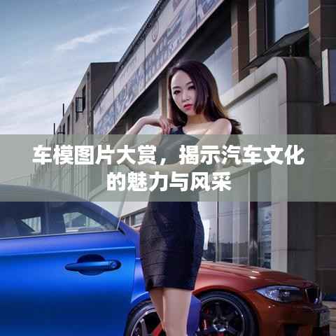 车模图片大赏,揭示汽车文化的魅力与风采
